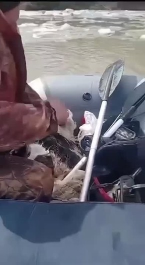 ���� �� ������: ��� � ���������� ������ ������, ��������� �� ������