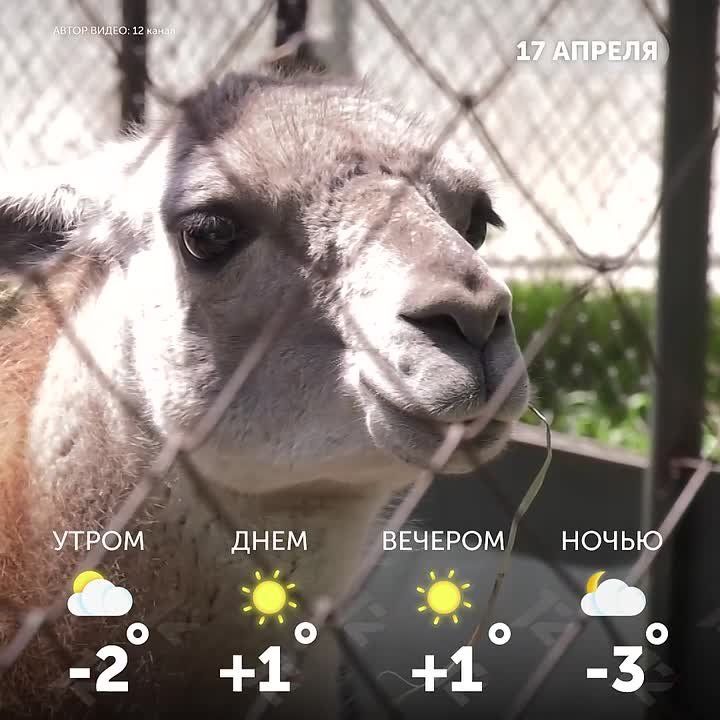 ������ ����, �����!. ������ ��� ��������� ���� ���� � ������� �����������!