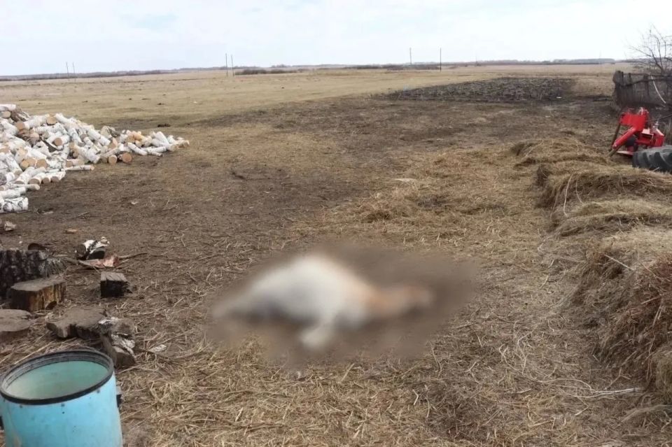 ��� ���� � ������ ������: � ������ ����������� ������ ������ ���������� � ������