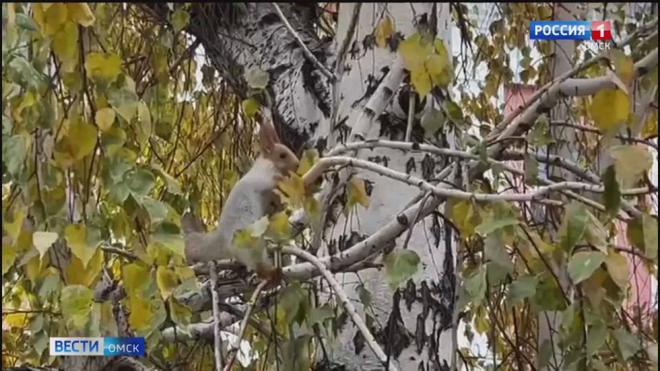 � ������ �����, �����!. ������� ������ �������� � �����, � ������� ��� ���� ��������! ������ ���� ����������� ������� � �������� � ��������� ������� ����