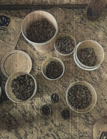 ������ �. �����, ������������� ������� � ���� ����, �� ������� �������� ��������