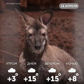 ������ ����, �����!. ������ ����� �������, ������� �������, � �� �����, ��� ����� ���������