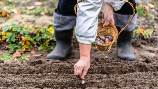 ��� ��������� ������� �������: ��������� ����� ��� ���������� ������ � �������