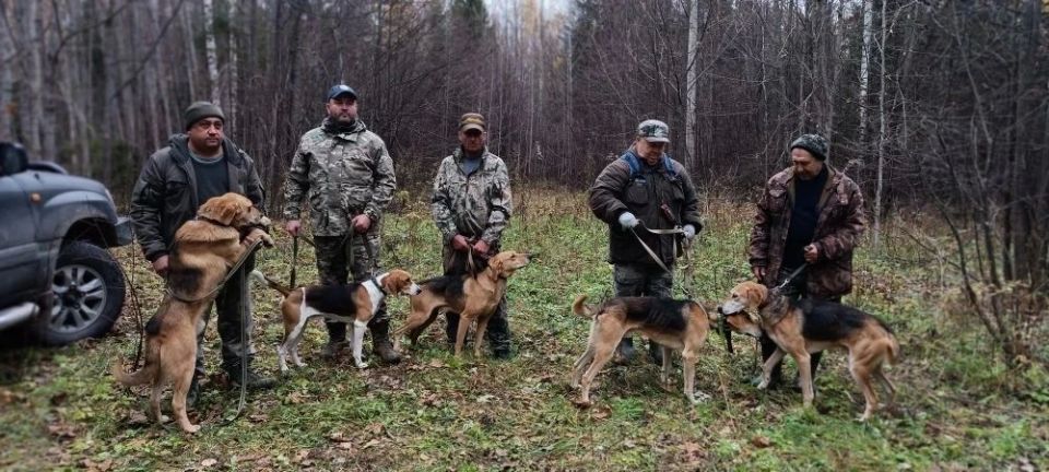 � ������ ������� ������� ������� ���������� ������ ����� ������� ������!