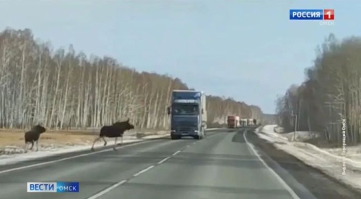 � ������ ������� ��������� ������������ � ������ �������� �������� �����