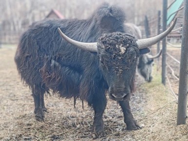 ��������������� ������� ������ �� �����, ��� ���������� �� ���� ������ � �����