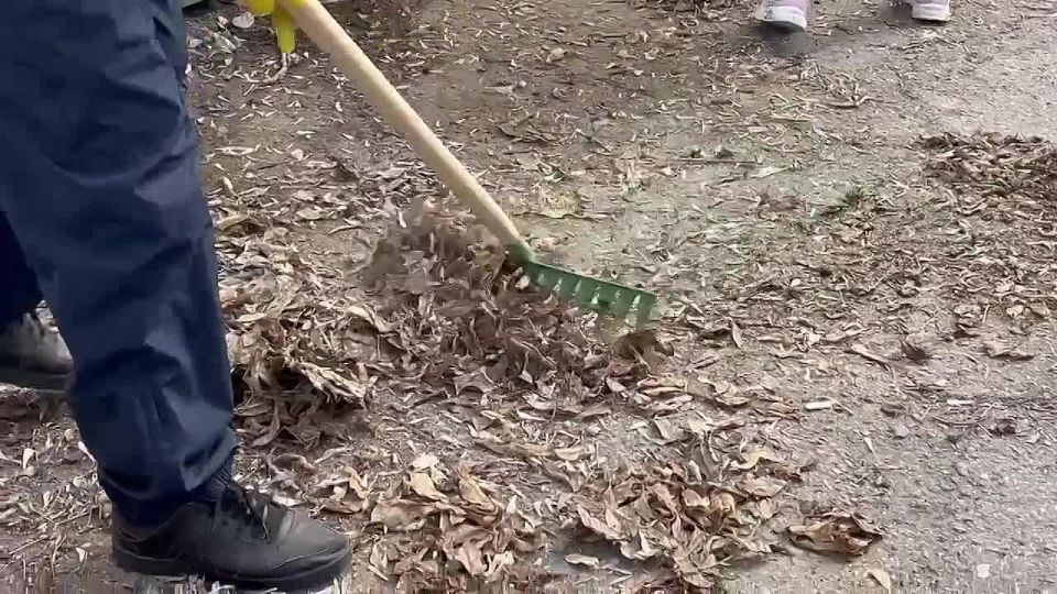 ������� ��������� ������ ������� � ������ ���������� �������� ����� ����� �� ������������� ���������