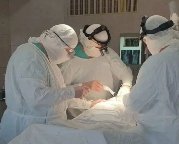 ������������ ������� ���������� ��������