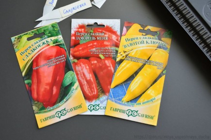 ��� ������ �������� ������ �����: ����������� ����� �������