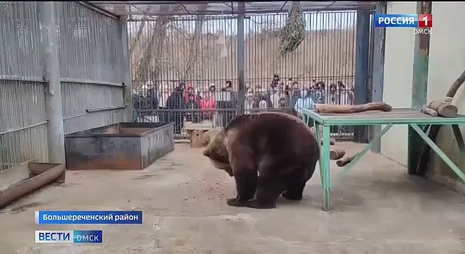 � ��������������� �������� ��������� �������� � ����� ����������� ��������