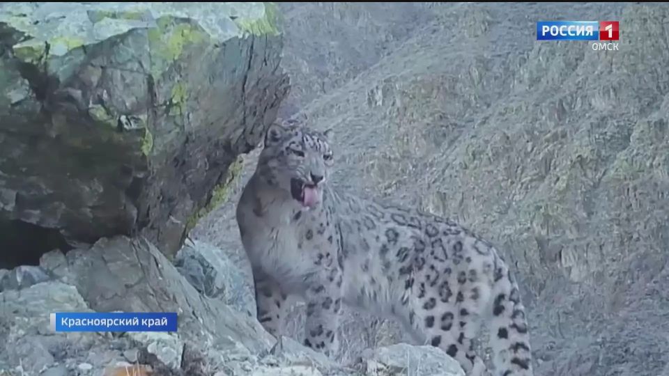 �������� ������� �������� ����� ������� ����������� � �����-��������� �����������