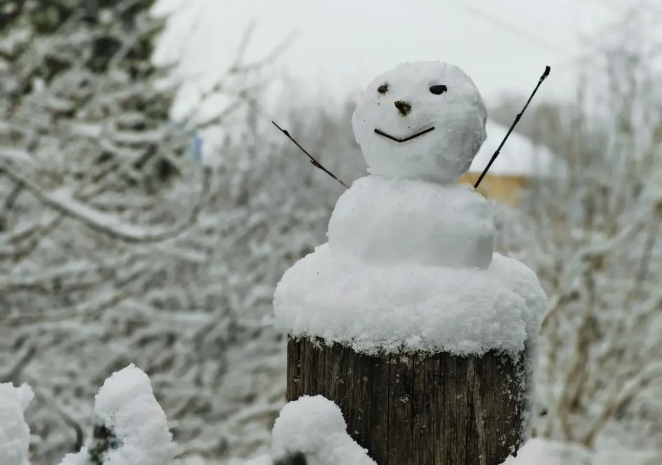 ����� ������� ������������ ����������� �����