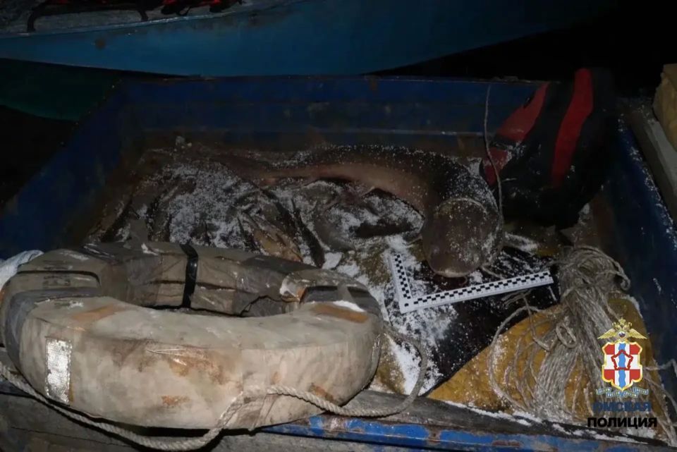 � �������� ����� ���������� ���������� ������� ���������� ������� ��������� ����� ������ 1994 � 1997 ��.�. ���������� �� ���� ������ ���, � ����� ���� �����