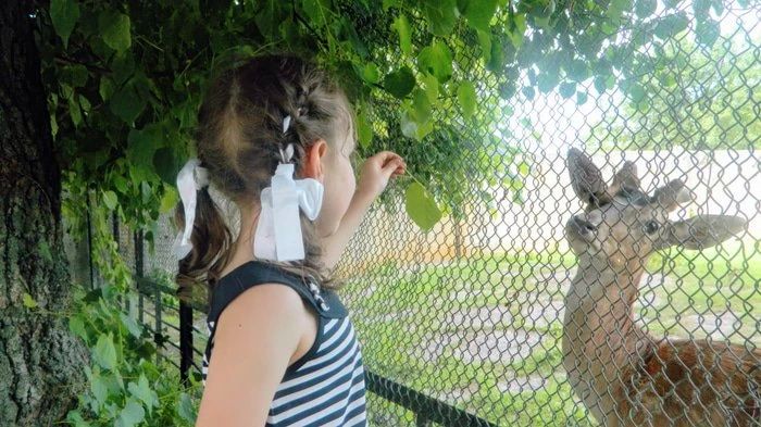 � ����� �� ��� ��� ������� �������