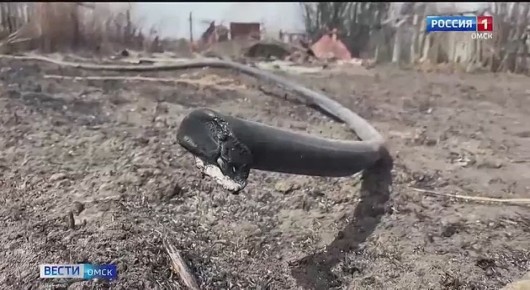 ����� 3 ��� ������ ������� �������� ������ ������ ������� �� ������������ ��������� � �����