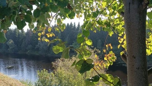 � ����� ����������� ������ ������