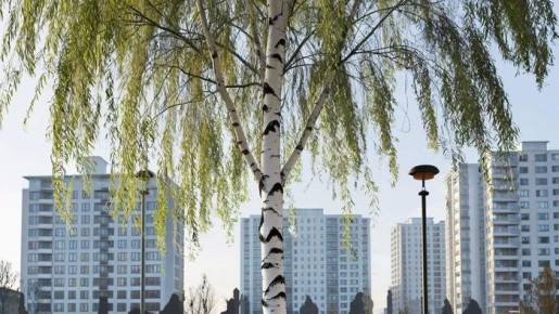 ������ �������� � ���� ����� 400 ����� �� ������� ������