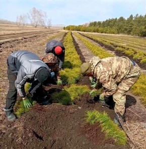 � ������� ���������� ����� �������������� �����