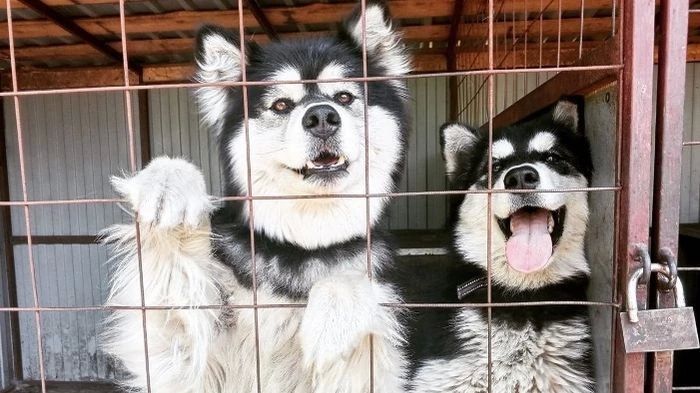 � ������ ������� �������� ���� ����� ����� � �������