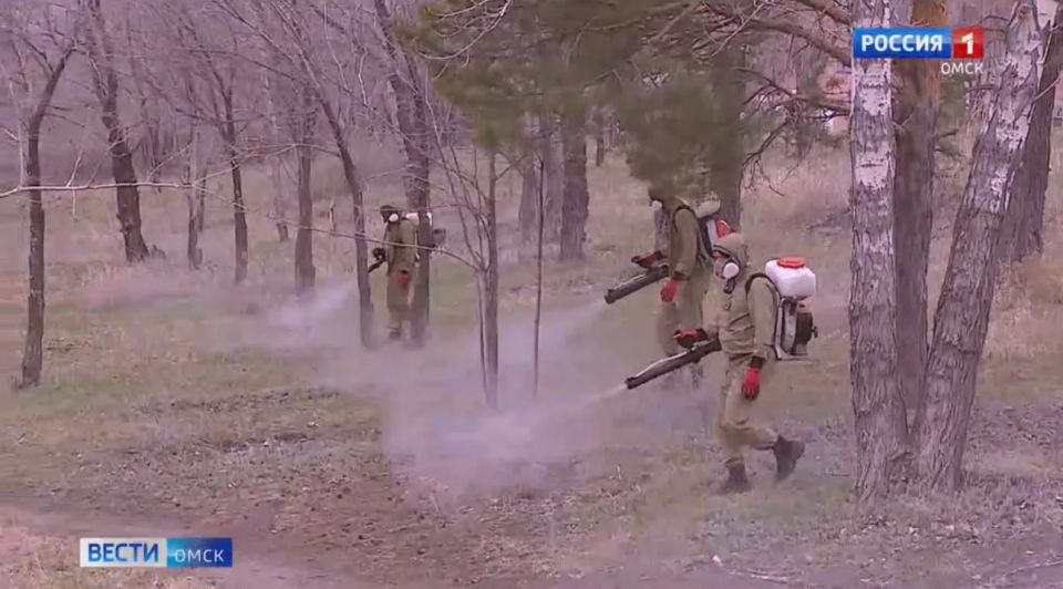 � ����� ���������� ������������ �� ������ �����