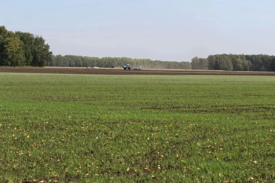 ������ ������� � 2026 ���� �������� � �������������������� ������ 25 ����� �������� �������������� �����