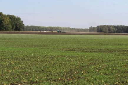 ������ ������� � 2026 ���� �������� � �������������������� ������ 25 ����� �������� �������������� �����