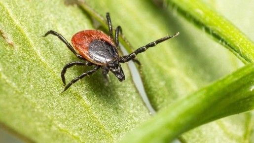 ��������� ���� � ����� ������� ��-�� ������