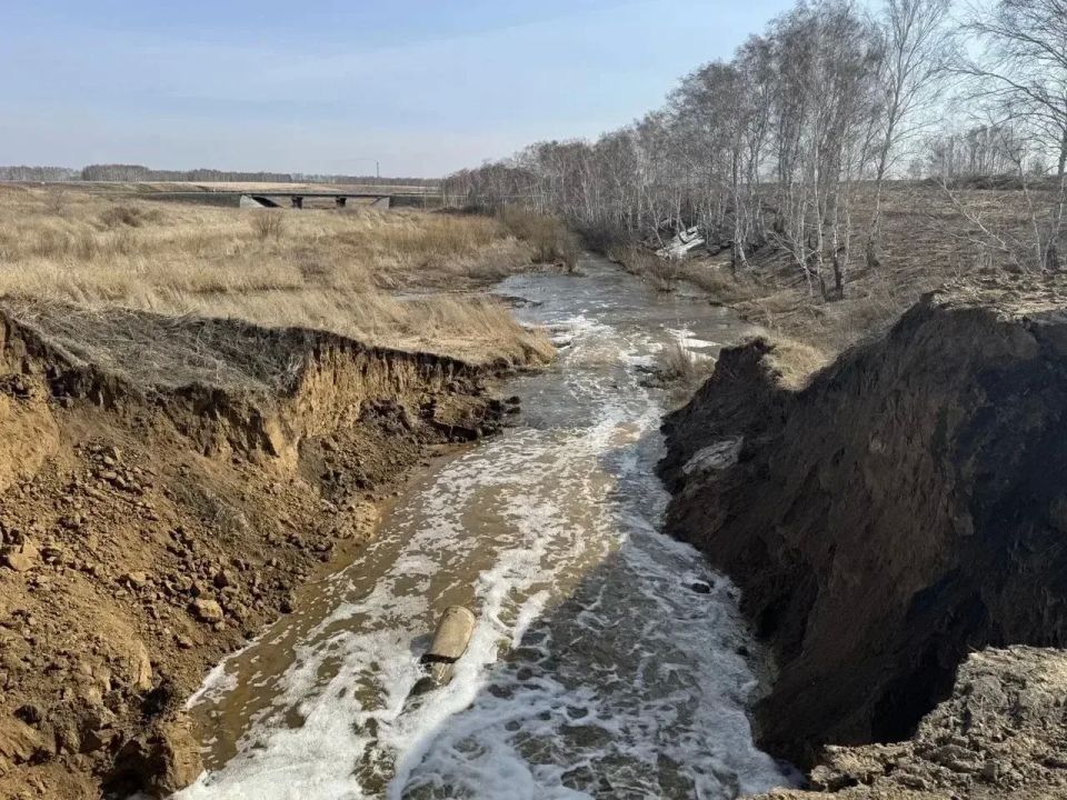 ����������� ����� ��� ����������� ������������� ���������� ����� � ������������ �������� ��������� ��� ������, ��-�� ������� � 2024 ���� ������������ ����������� ������ ���� � ������, ������ ���� � ��������� �������