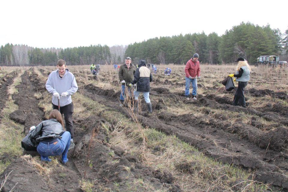 ������ ������� �������������� � ������������� ����� ���� ������