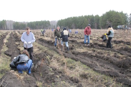 ������ ������� �������������� � ������������� ����� ���� ������