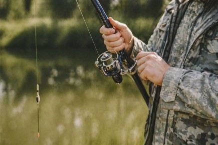 ��������� ������� ������� ��������� � � ������ ������� ����� �����������