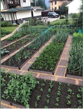 ����������� ���� ������ � �������� � �������� �� ������� ���� �����