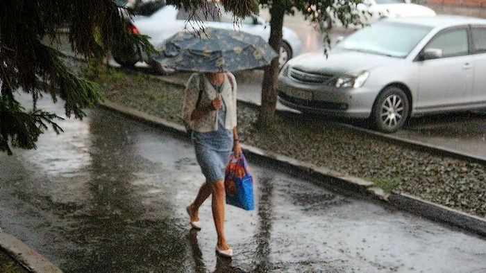 � ������ ������� ������ ����� �� ���� ������ ����