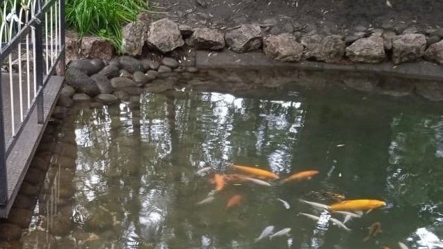 � ����� ��������� ��. ����� ��������� �� �������� ������� �������������� ������