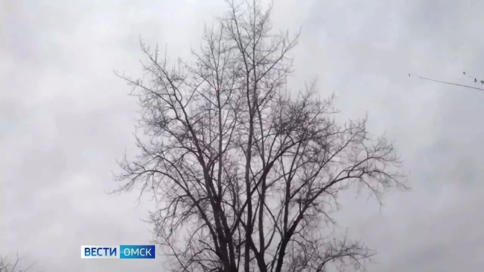 � ������ ������� ��������� ��������� ��������������