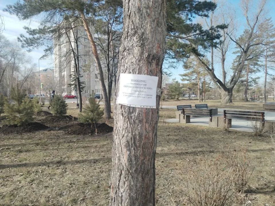 � ����� ���������� ������������ �� ������ ����� � ������