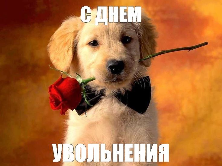 ����� ��������������� � ���������� ����������� ������� �� 43%