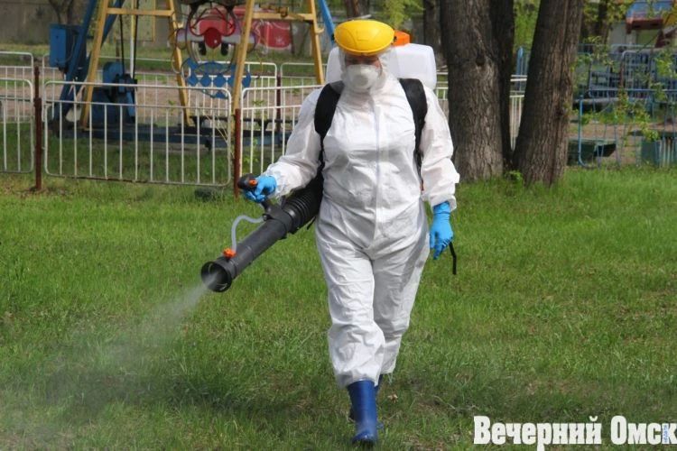 �� ������ � ����� ���������� 115 ����������