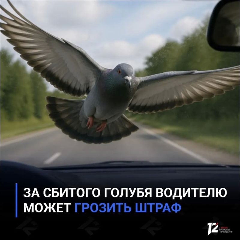 �� ������� ������ �������� ����� ������� �����