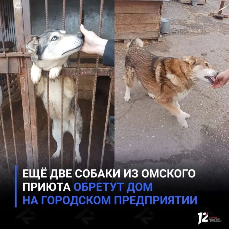 ��� ��� ������ �� ������� ������ ������� ��� �� ��������� �����������