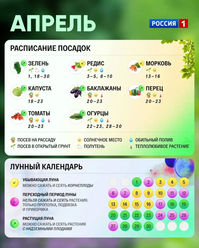 ����� ��� ����� ��������� ������ �����