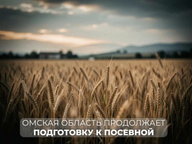 � 2026 ���� ������� ������� �������� ��������� ����� �������� ����������� ��������� �� 3% �� ��������� � ������� �������