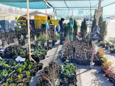 ������ ������: ��������� ��������, ������������ ������� ��������� ��� ������ ���� ������