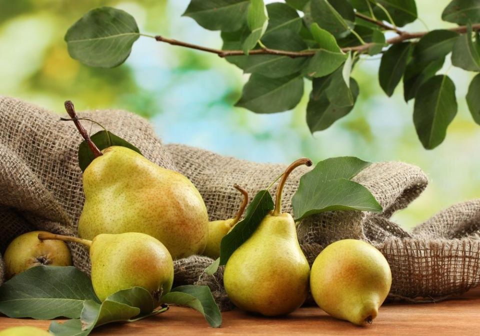 ���-6 ������ ���� ��� ������� �������