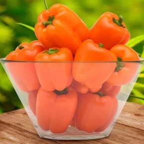 ��������� ��������: �� ������ �������, �� � ������ ������