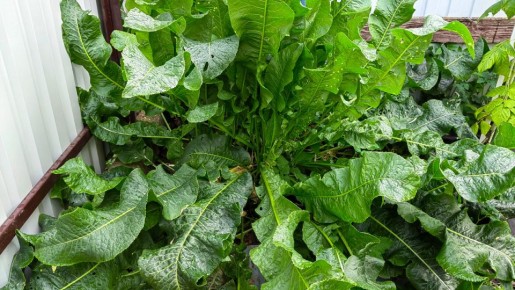 �������� ���� �����: ��� ������������ ���� �������������� ������ � ����