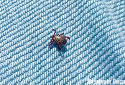 � 27 ������ �� 10 ��� ��������������� �������� ������������� ������� �����