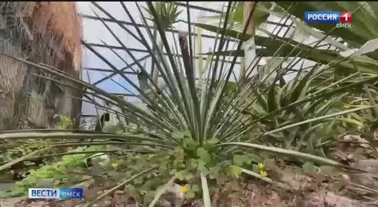 � ��������� ������� ��������� ������ ����� ������� ����� ��������� ��������