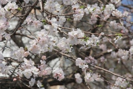 � ����� ����� �������. ������� ������ �� ���