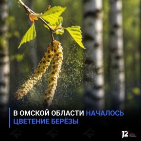 � ������ ������� �������� �������� �����